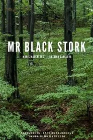 Mr Black Stork movie poster
