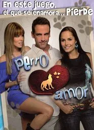 Dog love tv show poster