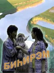 Poster do filme Matchmaking