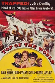 Poster do filme Top of the World