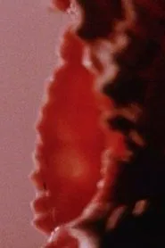 Poster do filme Private Property (Public Domain)