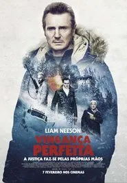 Poster do filme Vingança a Sangue Frio