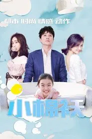 小棉袄 tv show poster