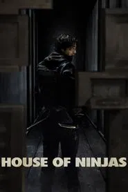 House of Ninjas tv show poster