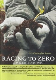 Racing To Zero movie poster