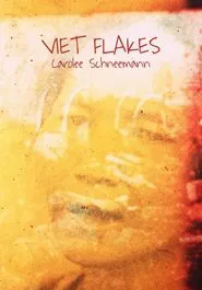 Viet Flakes movie poster
