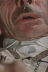 Inwentaryzacja movie poster