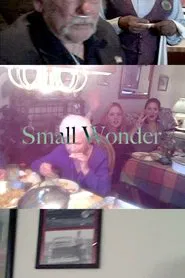 Small Wonder movie poster