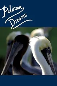 Pelican Dreams movie poster