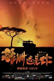 When Africa Meets You movie poster