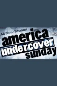 America Undercover: Heil Hitler! Confessions of a Hitler Youth tv show poster