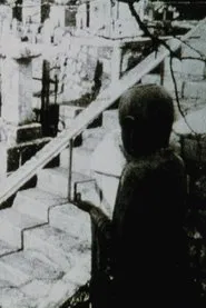 Poster do filme Jane's Window