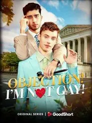 Objection! I'm Not Gay! movie poster