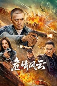 危情风云 movie poster