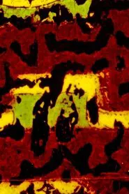 Ill Composto movie poster