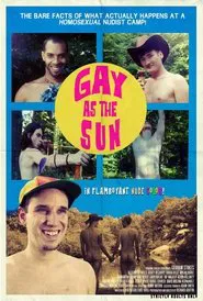 Poster do filme Gay as the Sun