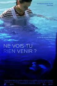 Ne vois-tu rien venir ? movie poster