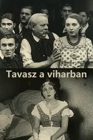 Poster do filme Tavasz a viharban