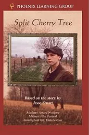 Split Cherry Tree movie poster