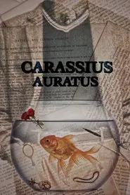 Poster do filme Carassius Auratus