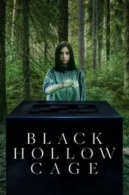 Poster do filme A Caixa Preta