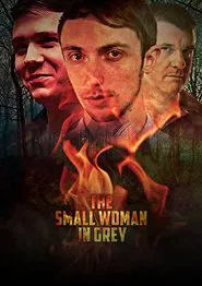 Poster do filme The Small Woman in Grey