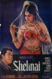 Poster do filme Shehnai
