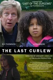 The Last Curlew movie poster