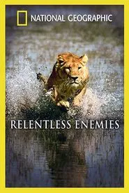 Relentless Enemies: Lions and Buffalo movie poster