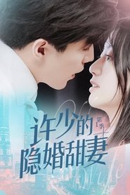 Hidden Sweet Wife tv show poster