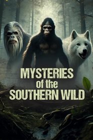 Mysteries of the Southern Wild movie poster