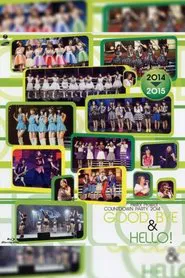 Poster do filme Hello! Project 2014 COUNTDOWN PARTY 2014-2015 ~GOODBYE & HELLO!~