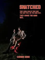Snatched movie poster