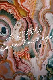 A Little Love Package movie poster