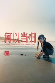 台湾吃饭故事 tv show poster