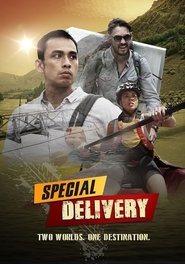 Special Delivery tv show poster