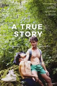 A True Story movie poster