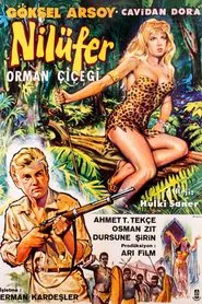 Poster do filme Nilüfer, the Jungle Flower