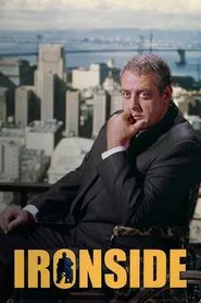Poster da série The chef