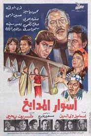 Walls of Tanneries movie poster