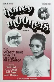 Poster do filme The Honeymooners