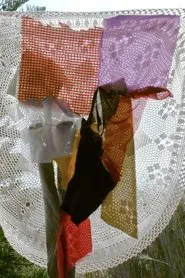 Cantar y coser movie poster