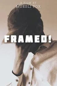 Framed! movie poster