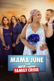 Mama June: Family Crisis tv show poster