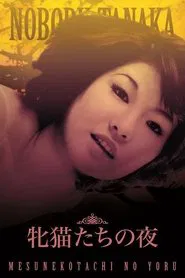 Night of the Felines movie poster