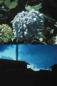 Poster do filme Imitating the Flower of Hydrangea