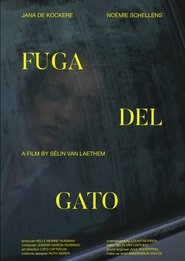 Fuga Del Gato movie poster