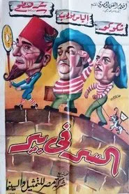 السر في بير movie poster