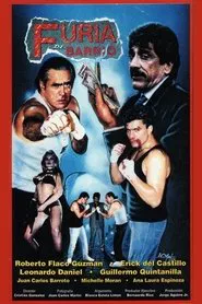 Furia de barrio movie poster
