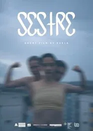Sisters movie poster